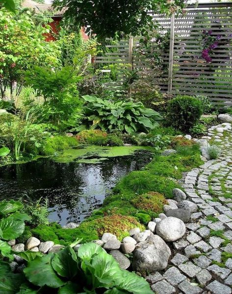 Aquascape Design, Pond Water Features, Water Gardens, Pollinator Garden, Ponds Backyard, Creative Gardening, Garden Yard Ideas, Backyard Garden Design, Garden Pool