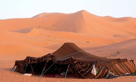 bedouin tent - Google zoeken Tent Photography, Desert People, Athleisure Lifestyle, Tent Life, The Red Tent, Bedouin Tent, Red Tent, Under The Rain, Ali Baba