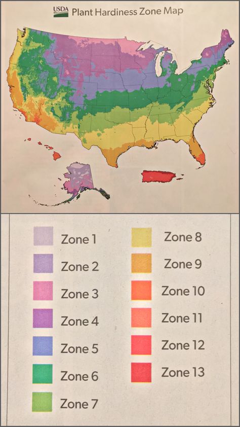 Zone Map For Gardening, Zone Planting Map, Gardening Zones Map U.s. States, Plant Zones Map United States, Planting Zones Map United States, Gardening In Tennessee, Gardening Zones Map, Garden Zone 7b, Garden Zones Map