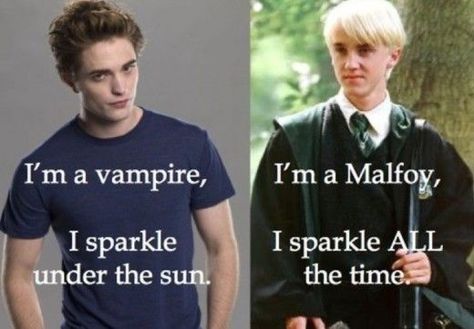 Hilarious Harry Potter memes that you'll love if Draco Malfoy is one of your favorite characters. Harry Potter Vs Twilight, Harry Potter Esprileri, Harry Potter Humor, Citate Harry Potter, Glume Harry Potter, Funny Harry Potter Jokes, Harry Potter Memes Hilarious, Buku Harry Potter, Harry Potter Puns