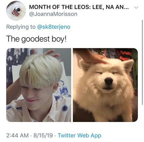 Samoyed Meme, Jeno Samoyed, Jeno And Samoyed, Dream Catcher Art, Sm Rookies, Funny Kpop Memes, Aesthetic Themes, Light Of My Life, Karakter Anime