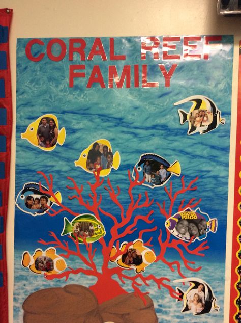 Under the sea coral reef family Under The Sea Family Tree, Coral Reef Classroom Decor, Under The Sea Birthday Wall Classroom, Under The Sea Classroom Theme Decor, Under The Sea Classroom Theme Daycare, Under Water Classroom Theme, Under The Sea Bulletin Board Preschool, Coral Reef Bulletin Board, Under The Sea Classroom Ideas