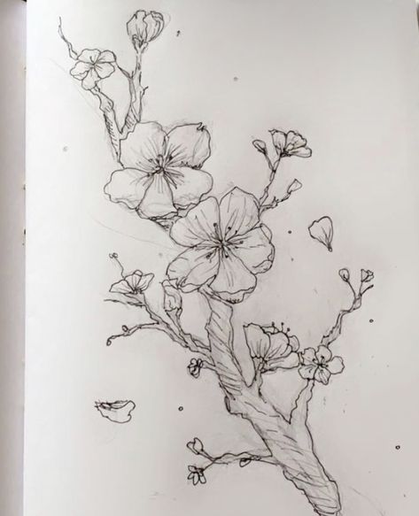 Cherry Blossom Pen Drawing, Cherry Blossom Drawing Pencil, Cherry Blossom Aesthetic Drawing, Cherry Blossom Tree Drawing Pencil, Cherry Blossom Drawing Simple, Blossom Tree Sketch, Cherry Blossom Tree Sketch, Cherry Blossom Line Art, Cherry Blossom Sketch