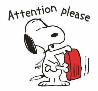 Atención por favor!! Snoopy Gifs, Gifs Snoopy, Snoopy Dance, Peanuts Charlie Brown Snoopy, Snoopy Cartoon, Snoopy Funny, Snoopy Images, Peanuts Cartoon, Snoopy Wallpaper