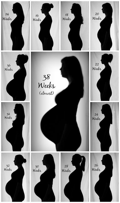 Bump Progression, Baby Bump Progression, Baby Bump Pictures, Pregnancy Belly Photos, Bump Pictures, Pregnancy Progression, Pregnancy Bump, Belly Photos, Pregnant Belly