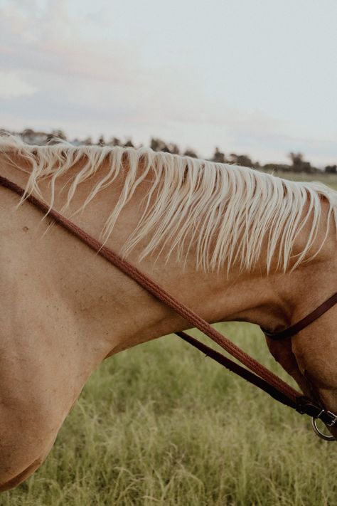 Western Sunset Aesthetic, Soft Western Aesthetic, Horse Ranch Aesthetic, Aesthetic Western Pictures, Ranch Photography, Rural Photography, Cowboy Aesthetic, Farm Lifestyle, Horse Aesthetic