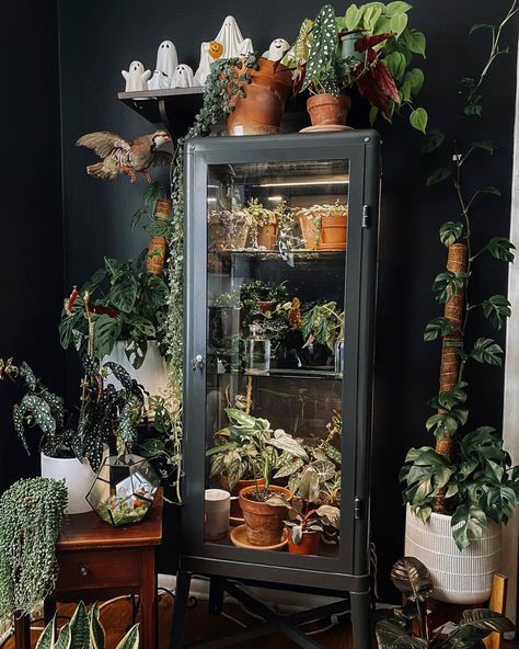 Ikea Fabrikor, Glamour Home, Ikea Ideas, Plant Goals, Indoor Greenhouse, Growing Plants Indoors, Plant Decor Indoor, Botanical Decor, Plant Aesthetic