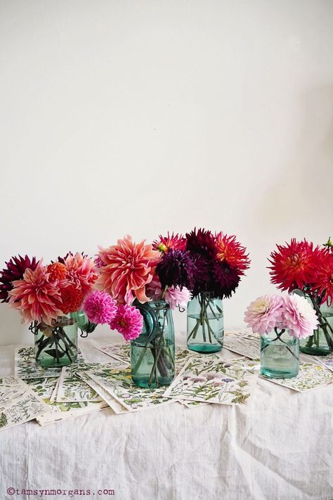 Floral display of dahlias Dahlia Bud Vase, Dahlia Centerpiece, Round Wedding Tables, Dahlias Wedding, Growing Dahlias, Home Grown, Floral Photography, Flower Display, Floral Display