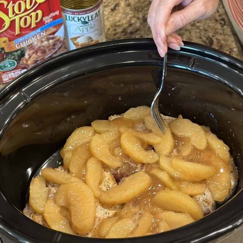 Adding apples to the top of pork chops in a crockpot. Pork Chops With Apple Sauce, Pork Chops With Apples And Cranberries, Thick Bone In Pork Chop Recipes Crockpot, Apple Pie Pork Chops Crock Pot, Pork Chop Apple Recipes Crockpot, Pork Chops With Stove Top Stuffing Crock Pot, Baked Pork Chops With Apples And Onions, Pork Chops In A Crockpot, Pork Chop And Apple Recipes Crock Pot