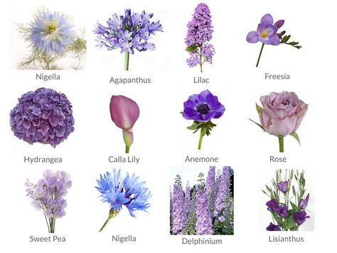 Cheat Sheets to Spring Wedding Flowers - WeddingPlanner.co.uk Types Of Lilac Flowers, Purple And Blue Flowers Aesthetic, Blue Purple Bouquet Wedding, Uk Spring Flowers, Purple Summer Flowers, Types Of Flowers For Bouquet, Flowers By Season, Engagement Bouquet, Purple Spring Flowers