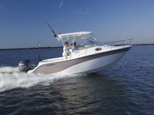 Tom-N-Jerrys Boats specializes in used boat sales, of all makes, models, and sizes. Outboard Motors For Sale, Mercury Outboard, Mount Vernon, Outboard Motors, Boats For Sale, Company Profile, Fishing Boats, Boats, Fox