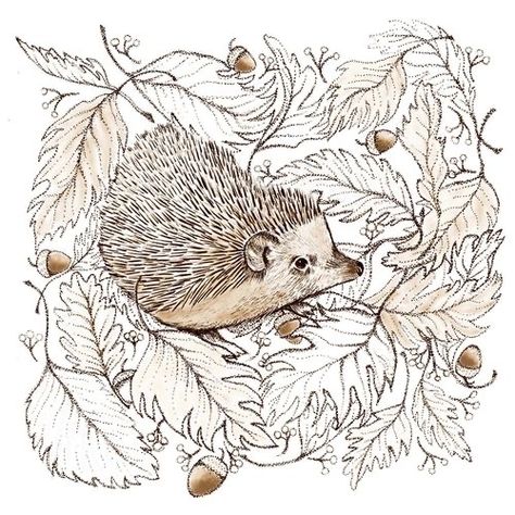 Shell Animals, Spring Fair, Animal Illustration Art, Drawing Examples, Bird Coloring Pages, Hedgehog Art, Advocate Art, Tatty Teddy, Animal Coloring Books