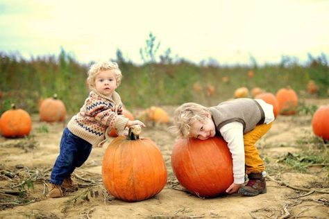 Pumpkin Patch Kids, Dog Hot Spots, Pumpkin Patch Photoshoot, Pumpkin Patch Pictures, Best Pumpkin Patches, Autumn Family Photography, Columbus Zoo, Fall Family Portraits, Pumpkin Pictures