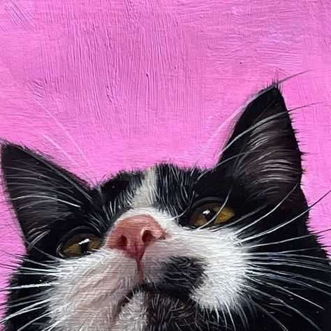 Jel Ena Art, Pet Portrait Paintings, Portrait Paintings, Animal Painting, Cat Portraits, Forever Home, Pet Portrait, Animal Paintings, Traditional Art