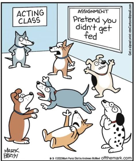 Mark Parisi, Dog Comics, Funny Cartoon Pictures, Dog Jokes, Single Humor, Dog Rules, Cartoon Dog, Dog Quotes, Funny Animal Pictures