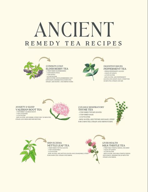 Herbal Tea Remedies, Tea Blends Recipes, Herbal Tea Benefits, Tea Remedies, Medicinal Tea, Healing Tea, Medical Herbs, Herbal Teas Recipes, Herbal Recipes