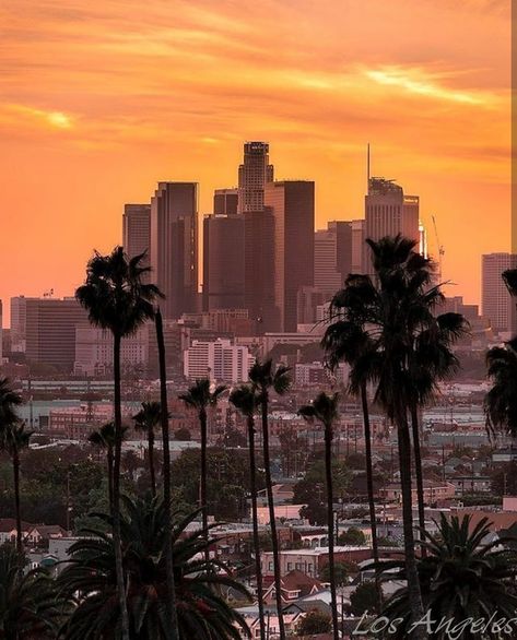 Hollywood Tattoo, Building Tattoo, Family Tattoo Ideas, Los Angeles Wallpaper, Whittier Blvd, Skyline Tattoo, Scale Painting, City Landscapes, Chicanas Tattoo