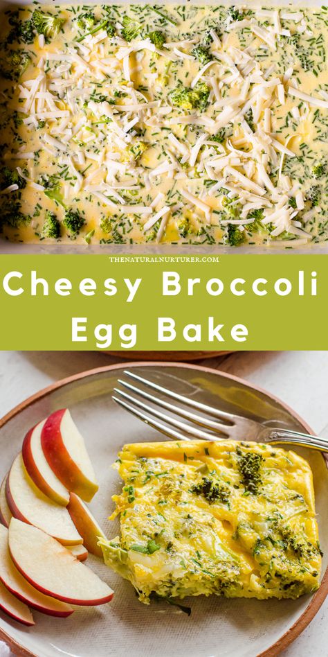 Simple, delicious, and done in 40 minutes this Cheesy Broccoli Egg Bake is the perfect thing to make during meal prep or to feed to a crowd! #veggieloaded Broccoli Egg Bake, Broccoli Eggs, Healthy Egg Bake, Veggie Egg Bake, Easy Egg Bake, Egg Bake Casserole, Baked Breakfast Casserole, Healthy Frittata, Natural Nurturer