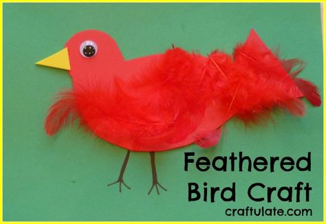 We made this easy feathered bird craft from craft foam, feathers and googly eyes. Perfect for young children. Bird Crafts For Kids, Bird Crafts Preschool, Bird Craft, Bird Mask, Easy Toddler Crafts, Red Crafts, Bird Costume, Bird Crafts, Bird Theme