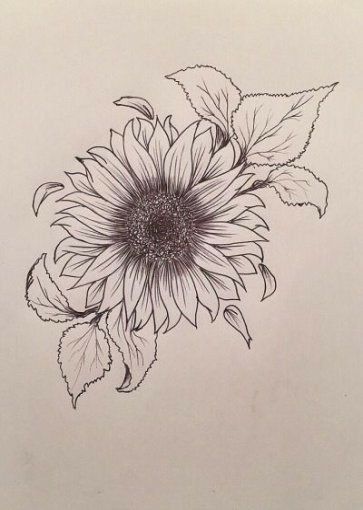 Sunflower Tattoo Shoulder, Sunflower Drawing, Flower Sunflower, Marquesan Tattoos, Mens Shoulder Tattoo, Flower Tattoo Shoulder, Sunflower Tattoos, Sunflower Tattoo Design, Sunflower Tattoo