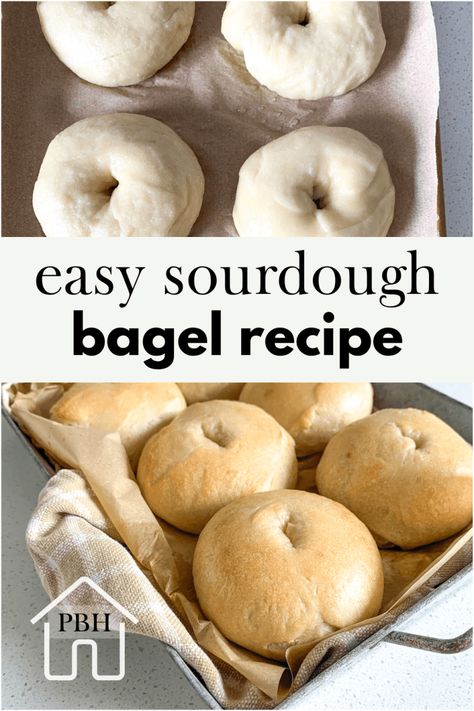 Best Sourdough Bagels (soft, easy, small batch recipe) Bagels Recipe Homemade, Sourdough Bagels Recipe, Use Sourdough Starter, Sourdough Bagel, Sourdough Pancakes Recipe, Easy Dinner Desserts, Basic Bread Recipe, Recipe Using Sourdough Starter, Bagels Recipe