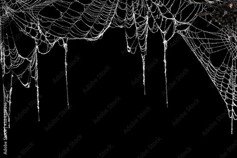 Horror Overlays For Edits, Spider Web Border, Goth Computer Background, Black Laptop Background, Laptop Wallpaper Emo, Spider Overlay, Gothic Laptop Wallpaper, Spiderweb Overlay, Emo Desktop Wallpaper