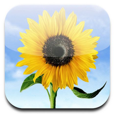 Apple's Icon Copying Arguments Against Samsung Summed Up By a Flower Old App Logos, Apple Photo, Hidden Photos, Frutiger Aero, Josh Groban, Apple Icon, Camera Icon, Ios App Icon, Widget Icon