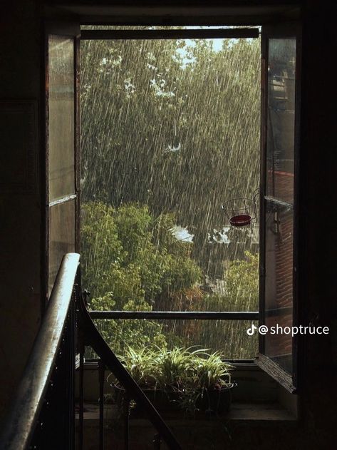 Rain Vibes, An Open Window, Rain Pictures, Rain Aesthetic, Foggy Weather, Rainy Day Aesthetic, I Love Rain, Autumn Rain, Day Aesthetic