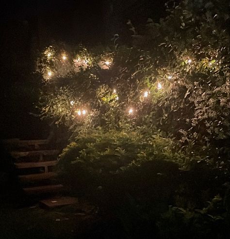 Magical Night Aesthetic, Forest With Fairy Lights, In The Night Garden Aesthetic, Forest Night Aesthetic, Night Forest Aesthetic, Night Garden Aesthetic, Night Fairy, Fairy Night, Forest Party