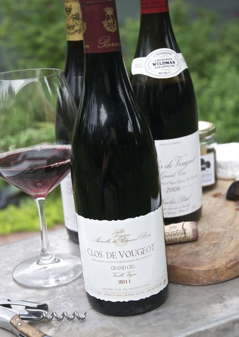 What You Should Know About Red Wine from Burgundy