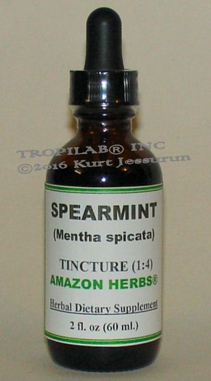 Spearmint Tincture Diy, Spearmint Tincture, Mint Tincture, Herbal Medicine Cabinet, Tinctures Recipes, Spearmint Tea, Herbal Coffee, Diy Laundry Detergent, Smoothie Bowl Healthy