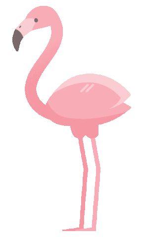 Flamingo Animation, Dance Stickers, Cute Gif, Animal Gifs, Pretty In Pink, Alpaca, Flamingo, Husky, Funny Gif