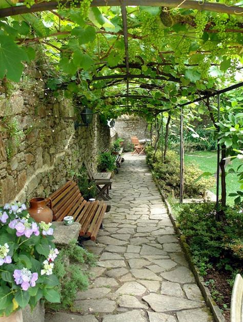 Sidewalk Landscaping, Cobblestone Walkway, Walkway Landscaping, Walkways Paths, Garden Vines, Garden Walkway, Backyard Pergola, Garden Pathway, Garden Cottage