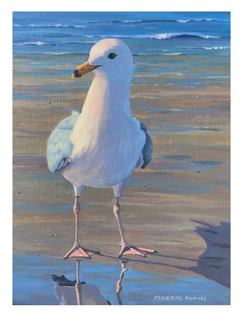 Shore Bird Art, Seascape Artists, Bird Painting Acrylic, Coastal Birds, Beach Art Painting, Florida Art, Animal Portraits, Animal Projects, Beach Painting