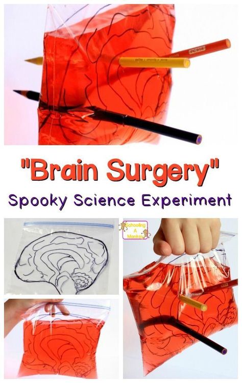 Halloween Science Activities, Halloween Stem Activities, Spooky Science, Halloween Stem, Halloween Science, Kid Experiments, Science Projects For Kids, Brain Surgery, Halloween Activities For Kids