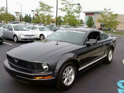 2008 V6 Mustang, V6 Mustang, Ford Falcon, Muscle Car, Ford Mustang, Mustang, Bmw Car, Ford, Bmw, Cars