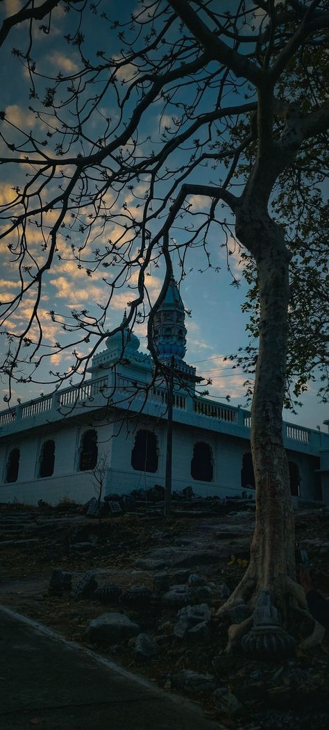 #TEMPLE #OLD #camera #aesthetic #dark #night #tree #Peace Camera Aesthetic Dark, Old Camera Aesthetic, Small Temple, Camera Aesthetic, Old Camera, Aesthetic Dark, Dark Night, At Night, Temple