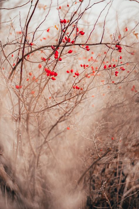 Herbs Image, Shawl Design, Encaustic Artist, Wild Herbs, Brown Tree, Abstract Tree Painting, Nature Sketch, Autumn Magic, Abstract Tree