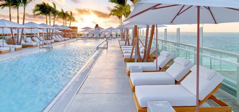 Best Hotels In Miami, 1 Hotel South Beach, Meyer Davis, Miami Hotels South Beach, Paradise Resort, South Beach Hotels, Miami Hotels, 1 Hotel, Best Rooftop Bars