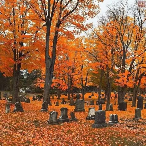 Autumn Graveyard, Halloween Is Cool, Fall Moodboard, October Country, Fall Cottage, Fall Mood Board, Old Cemeteries, Autumn Magic, Fall Mood