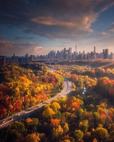 Fall Athestic, Toronto Autumn, Toronto Fall, Toronto City, Canada Photos, Nature Wallpapers, Wonderful Picture, Photo Series, How To Get Warm