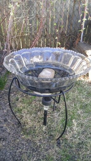 Repurposed punch bowl. Added a water feature for my feathered friends. Gets more use than the hanging one. Punch Bowl Repurpose, Diy Punch Bowl Ideas, Punch Cups Repurposed, Punch Bowl Cups Repurpose, Upcycle Punch Bowl, Crystal Dishes Repurposed, Punch Bowl Decorating Ideas, Glass Punch Bowl Repurposed, Diy Bird Bath Upcycle Glass Bowls