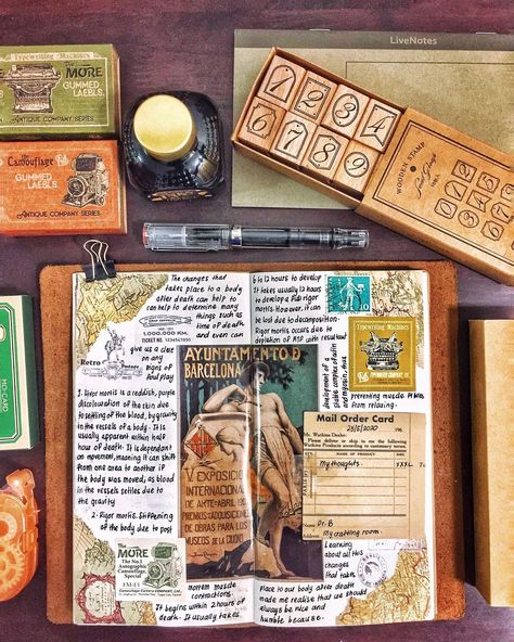 Journal Scrapbooking | Dr.B 🇲🇾 (@scribbling.muse) • Photos et vidéos Instagram Latex Glove, Palm Prints, Sweaty Palms, Latex Gloves, Bullet Journal Art, Journal Art, Study Notes, Muse, Art Journal