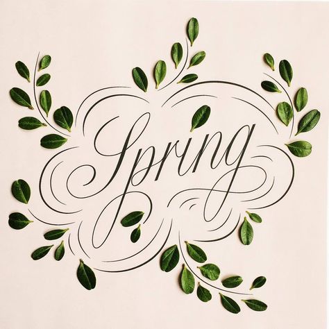 Spring Calligraphy, Calligraphy N, First Day Of Spring, Spring Is Coming, Chalkboard Art, Ink Illustrations, Spring Day, Spring Green, Spring Colors