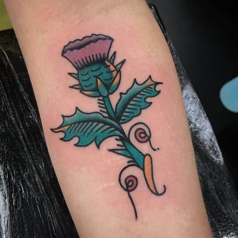 Thistle Tattoo, Tattoo Old School, Milk Thistle, School Tattoo, Old School Tattoo, Leaf Tattoos, Maple Leaf Tattoo, Old School, Milk