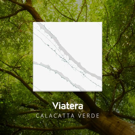 We cannot get enough of the intricate veining in our new Calacatta Verde quartz surface product. Full-bodied wide veins emerge in random fashion, creating natural borderlines and expressing an intricate pattern with a subtle depth. Get inspired by clicking the link in our bio! #LXHausys #quartz #quartzcountertops #greenkitchen #modernhome #modernkitchen #modernluxury #luxurykitchen #luxuryhome #kitcheninspo #dreamkitchen #dreamhome #homedecor #greendecor #quartzkitchen Calacatta Verde Quartz, Calacatta Verde, Gold Veins, Quartz Worktops, Green Veins, Quartz Counter, Random Fashion, Quartz Surfacing, Quartz Kitchen