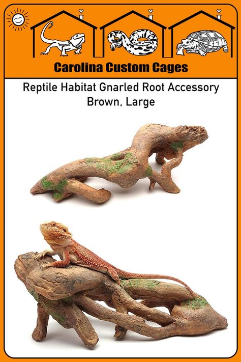 This Gnarled Large Root, Brown, is one of the few such items that is actually sized large enough for a full adult bearded dragon and some other large reptiles. The Gnarled Large Root, Brown, measures 19"L x 8"W x 6.5"H x and weighs about 4 pounds. The Gnarled Large Root is made from a hardened resin; it can be easily cleaned with soapy water, followed up with some chlorhexidine. #petaccessories #reptile #Rock #RockArch #arch #pet #lizard #habitat #beardeddragon #petsupplies #PetAccessory Lizard Habitat, Reptile Habitat, Bearded Dragon, Reptiles, Pet Accessories, Habitat, Arch, Pet Supplies, Pet