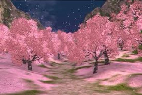 Cherry blossom Cherry Blossom Field, Sakura Cherry Blossom, Flower Landscape, Fantasy Places, Walking In Nature, Night Time, Beautiful Landscapes, Vintage Pink, Cherry Blossom