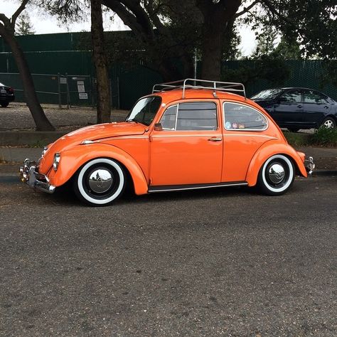 Vw Baja Bug, Volkswagen Cars, Vw Baja, Orange Wheels, Vw Sedan, Orange Car, Vw Classic, Volkswagen Bug, Berkeley California