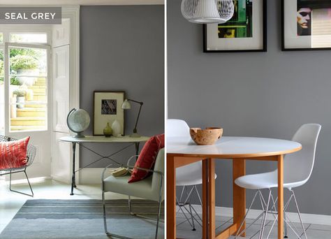 Seal Grey by Glidden ( The perfect grey color with no undertones) Gray Paint, Grey Paint, Kitchen Paint Colors, Paint Color Palettes, Grey Paint Colors, Emily Henderson, My Space, My Living Room, Floor To Ceiling Windows